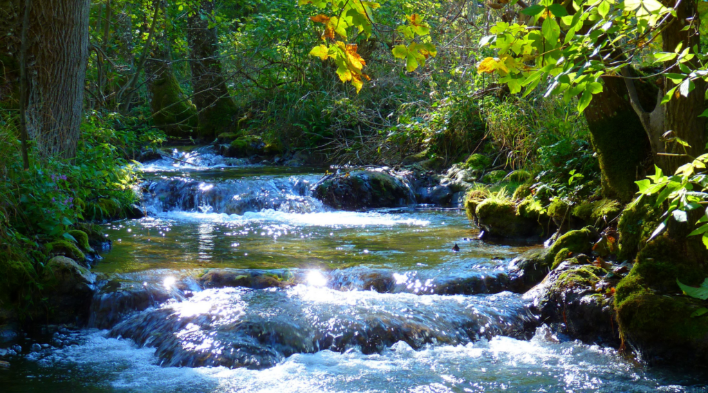 Wastewater Owner's Rep Services